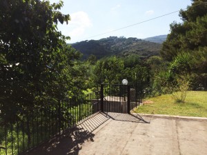 IMG_6206